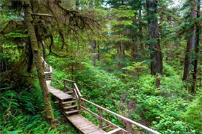 Billboard Locations on Vancouver Island
