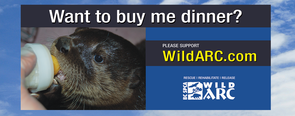 Community Billboard Advertiser