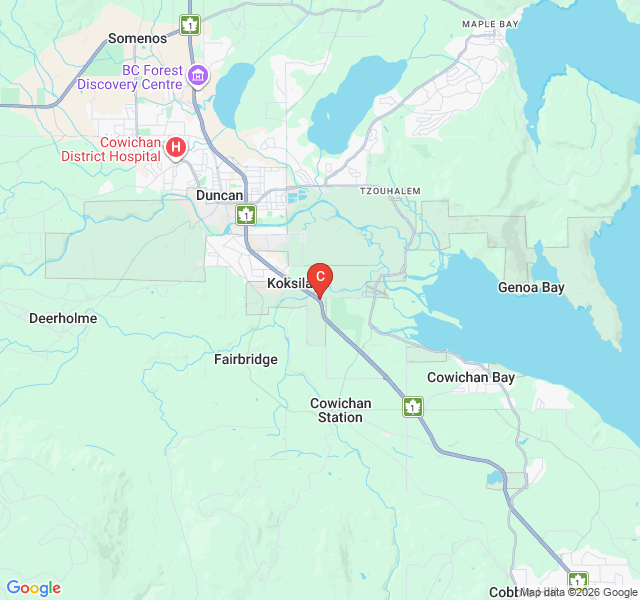Map of D-19S